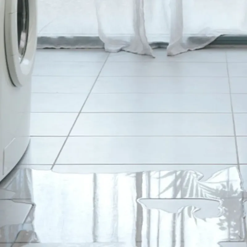 Appliance Leak Cleanup in Lanham, MD